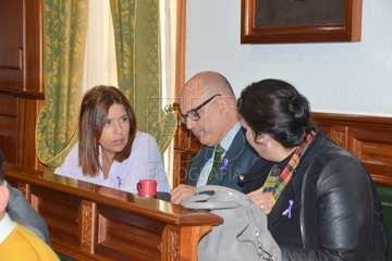 Sesión plenaria correspondiente al mes de noviembre (Foto Francisco Javier Santana)